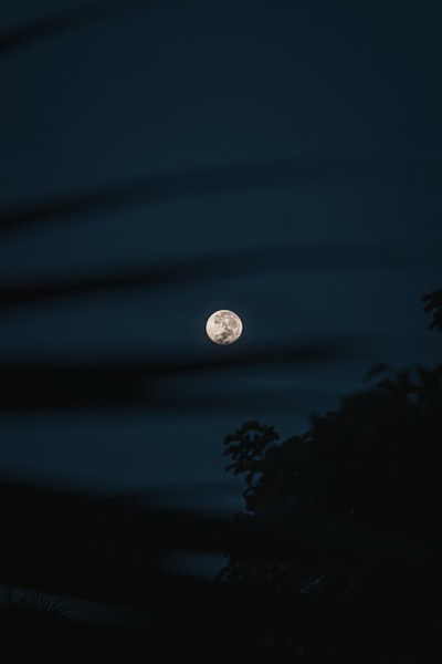 full moon over the trees